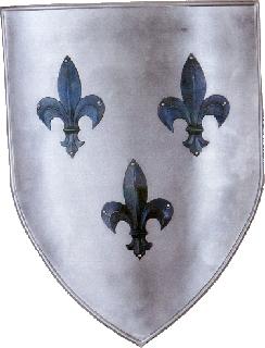 Shield-ornate iron Shield